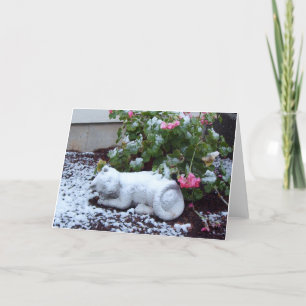 De sneeuw Behandelde Kaart van de Kat