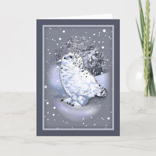 De sneeuw Kaart van de Uil (Voorkant)