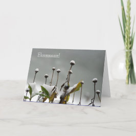 De sneeuw Kerstkaart van Stammen Feestdagen Kaart