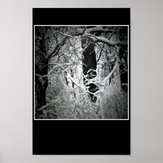 de sneeuwkoningin poster