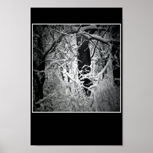 de sneeuwkoningin poster (Voorkant)