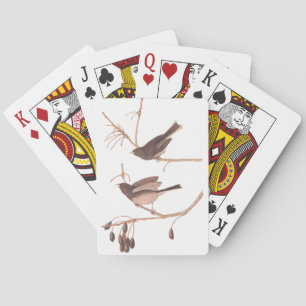 De sneeuwvogels van Audubon op de winterboomtak Pokerkaarten