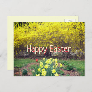 De Snellere Schrift van de Vergroting Forsythia en Briefkaart