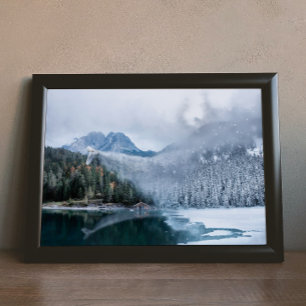 De Snowy Owl: Bringer van de Winter Poster