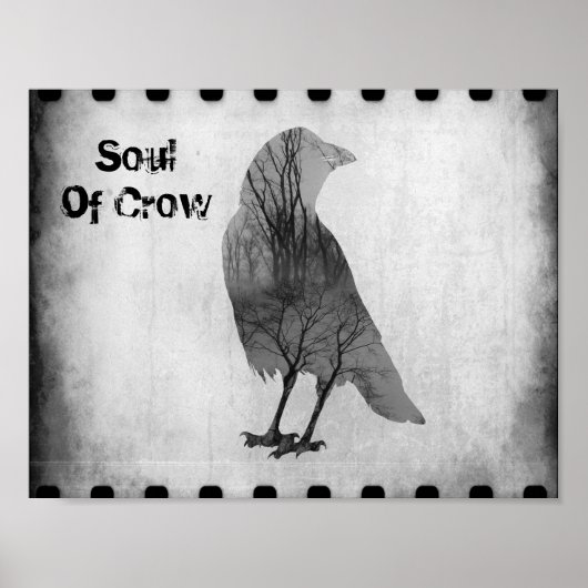 De sol van Crow Poster (Voorkant)