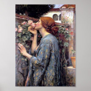 De sol van het Roos druk Poster