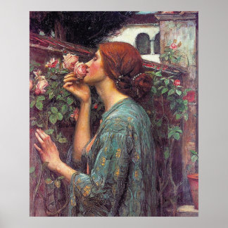 De sol van het Roos Poster door John W. Waterhouse