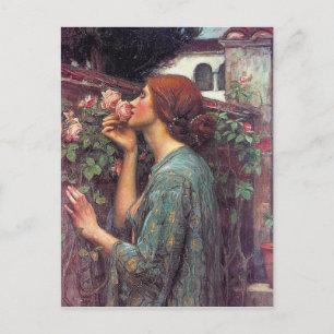 De sol van het Roos van John W. Waterhouse Briefkaart