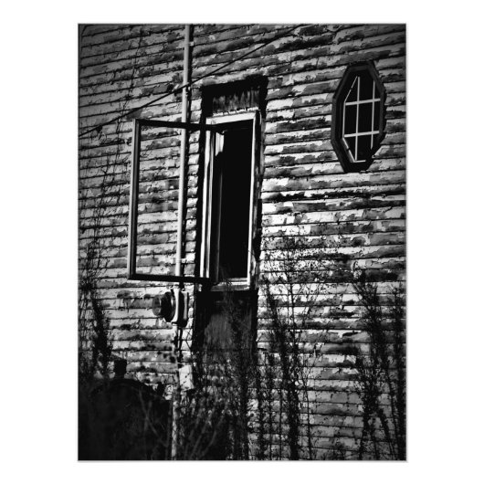 "De sol vrijlaten" Foto Afdruk (Voorkant)