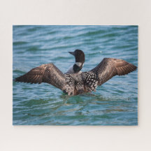 De soms voorkomende leonpuzzel