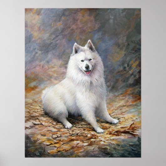 'De sonde Samoyed' - Canvas afdrukken Poster (Voorkant)