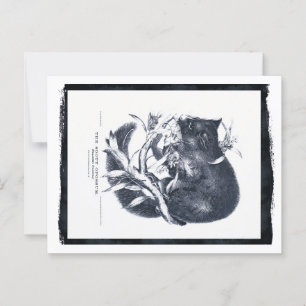 De Sooty Opossum Briefkaart