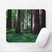 De Souris Tapis vert des séquoias (Avec souris)