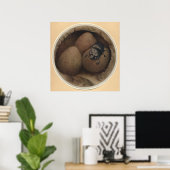 DE SPAANSE COPRIS - INsect Book Illustration Poster (Thuiskantoor)