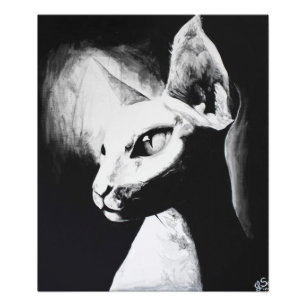 De Sphynx Kat Feline Originele Kunst Foto Afdruk