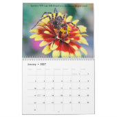 De spinachtigen kalender (Jan 2027)