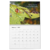 De spinachtigen kalender (Feb 2027)
