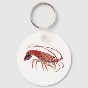 DE SPINEY SLEUTELHANGER