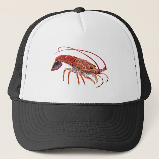 DE SPINEY TRUCKER PET (Voorkant)
