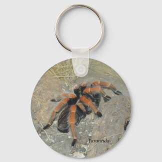 De spinnepix, Tarantula Sleutelhanger