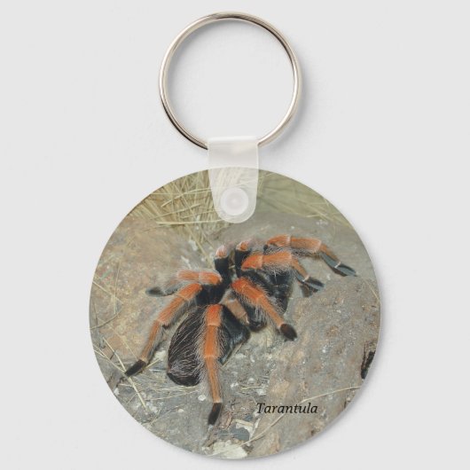 De spinnepix, Tarantula Sleutelhanger (Voorkant)