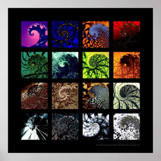 De spiraalvariaties poster (Voorkant)