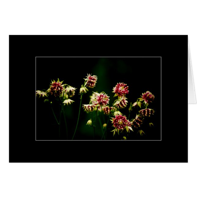 De Spring Choir (Voorkant Horizontaal)