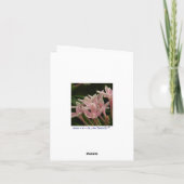 De Sprong van Katydid van het baby van de Kaart (Achterkant)