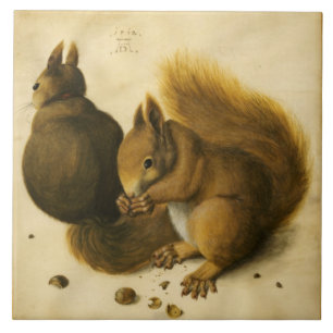 DE SQUIRREL MET NUTS door Albrecht Durer Tegeltje