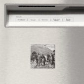 De staat Ierland Magneet (Insitu (Vaatwasser))