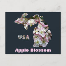 De staat Michigan en Apple Blossoms