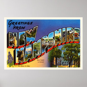 De staat New Hampshire NH Vintage Travel Souvenir Poster