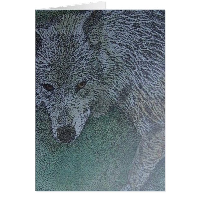 de stalker (Voorkant)