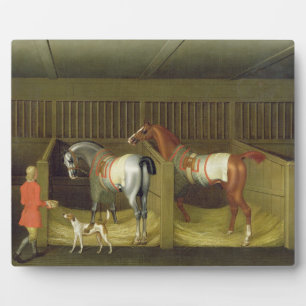 De stallen en twee beroemde rijpaarden fotoplaat