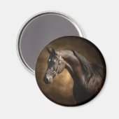 De Stallion Magneet (Voorkant / Achterkant)