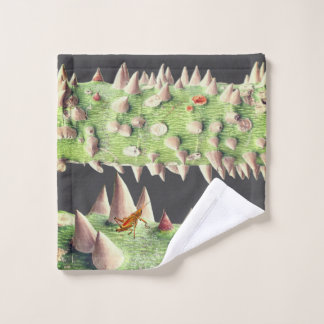 De stam van een Floss Zijdeboom (Ceiba speciosa) Washandje