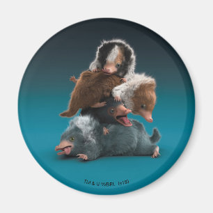 De Stapel van het baby NIFFLER™ Magneet