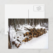 De stapel van het logboek in het Briefkaart van Bo (Voorkant / Achterkant)