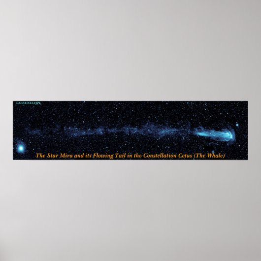 De Star Mira met stromende staart Poster (Voorkant)