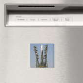 De steigers van de lancering worden opgeheven magneet (Insitu (Vaatwasser))