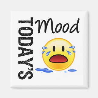 De stemming van vandaag Emoticon Huilen Magneet