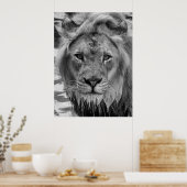 De stenen van de Lion Poster (Keuken)