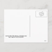 De ster over Bethlehem Feestdagenkaart (Achterkant)