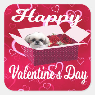 De Sticker van de tzuValentijnsdag van Shih, Hond