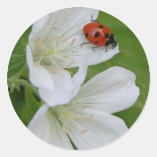 De Stickers van de lentetijd