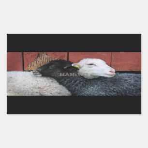 De Stickers van HAMbyWG- - de Witte Schapen van