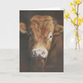 De Stier van Limousin Kaart (Gele Bloem)