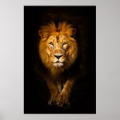 De stille koning poster (Voorkant)