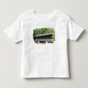 De Stone Mountain Overdekte Brug bij Stone Kinder Shirts