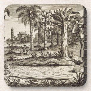 De Stone Snake uit 'China geïllustreerd' door Atha Onderzetter